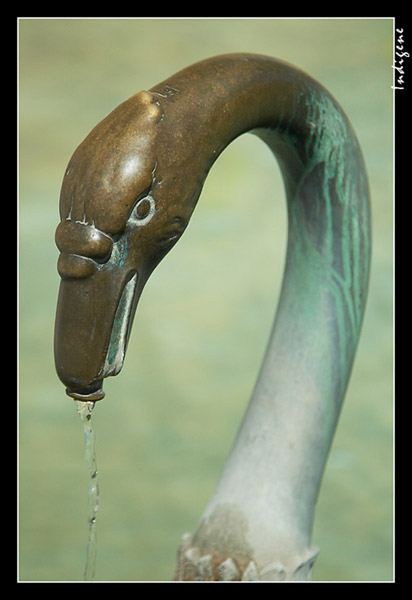 La fontaine à tête de cygne