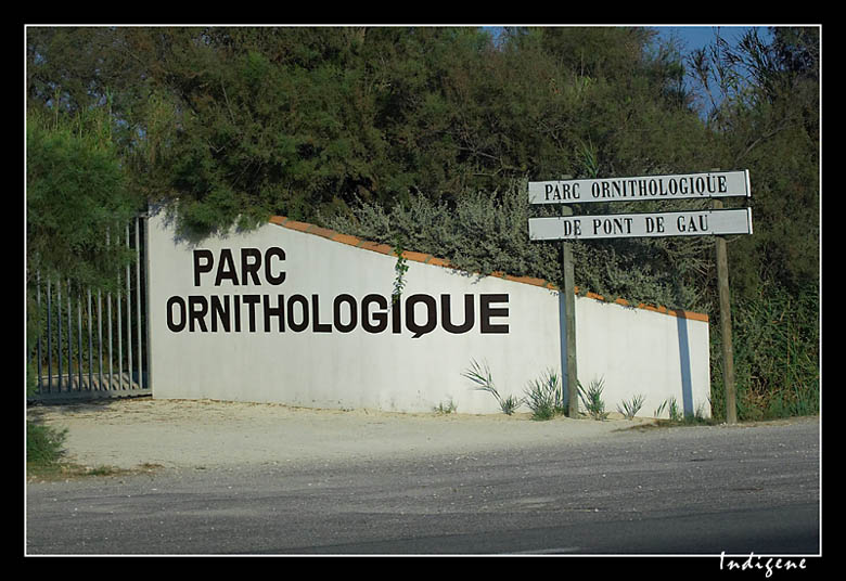 Le parc ornithologique de Pont de Gau