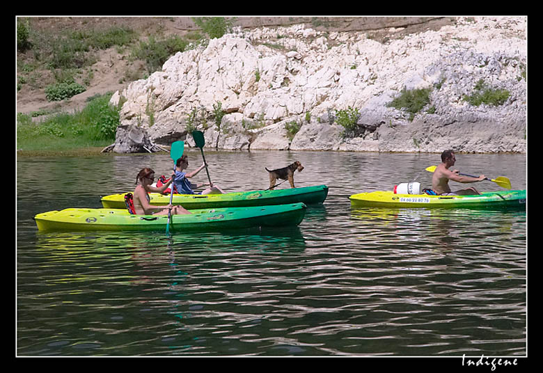 Le canyoning sur le Gardon