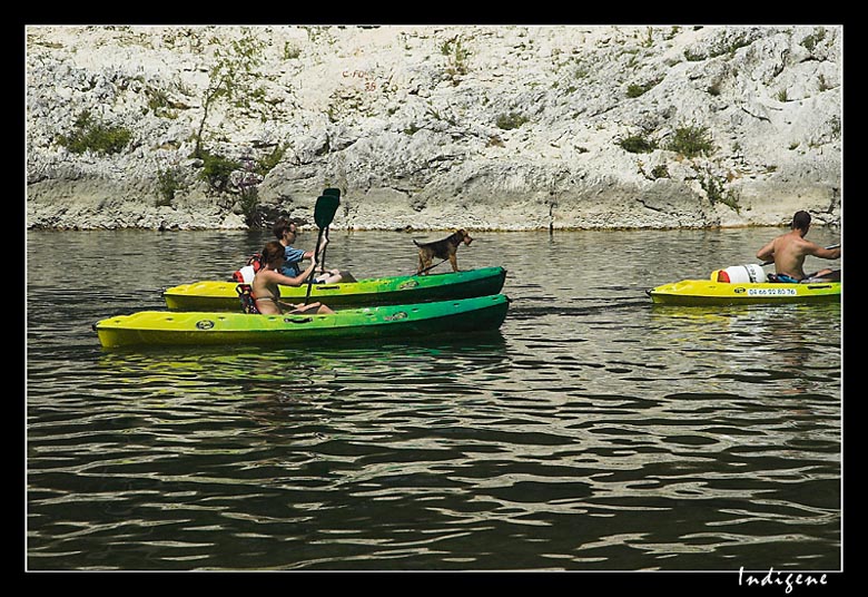 Les canoës sur le Gardon