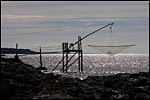 photo La pêche au carrelet