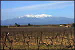 photo Le Mont Canigou 