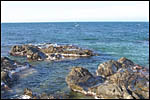 photo Les criques à Collioure