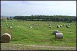 photo Les meules de foin en Bresse