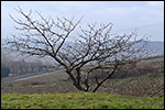 photo Pêcher dans le Beaujolais