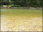 photo La rivière d'Ain