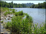 photo La rivière d'Ain et ses galets