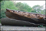 photo Tronc d'arbre sculpté dans le zoo de Lille