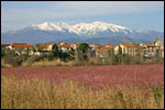 photo Trouillas au pied du Canigou