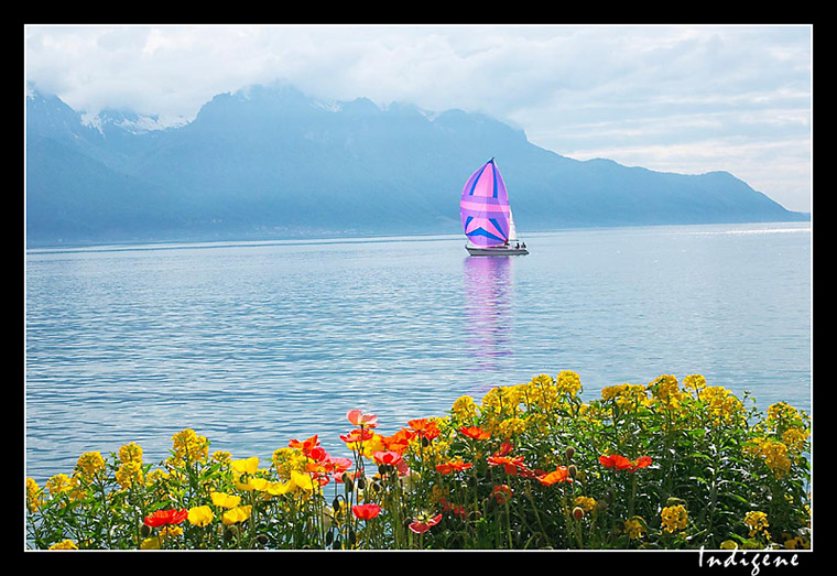 Voilier sur le lac Léman