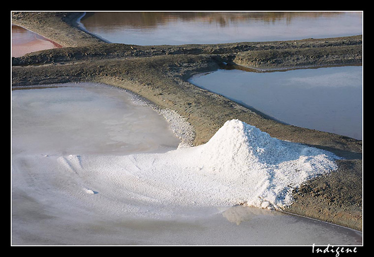 marais salants à Noirmoutier