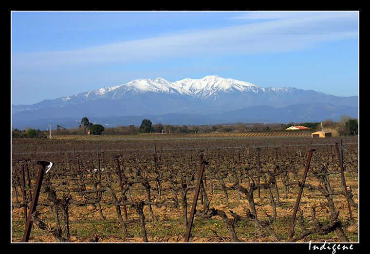 Le Mont Canigou 