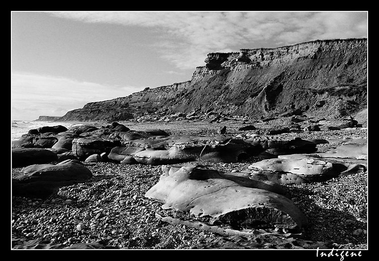 Falaises d'Audresselles