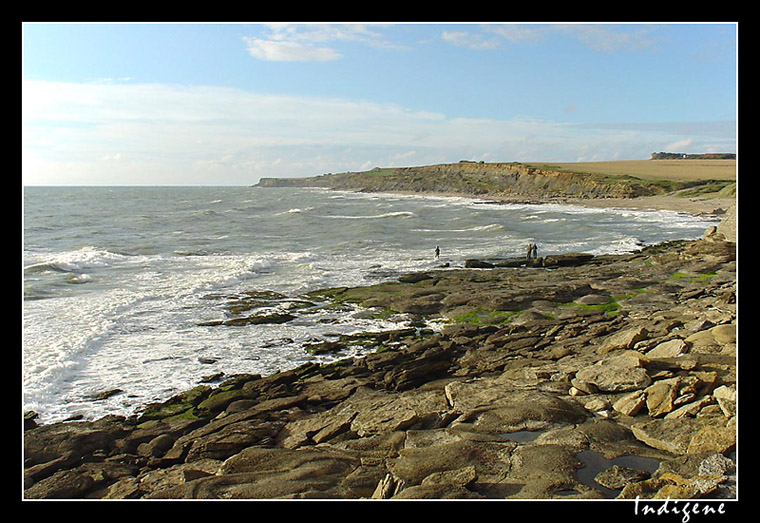 La mer à Audresselles