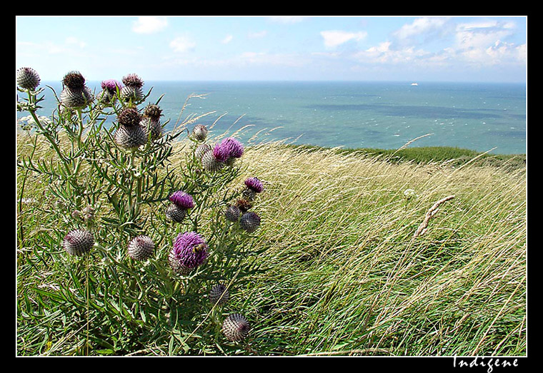 La Manche