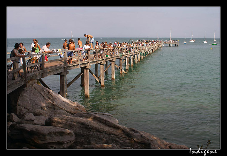 Pont de bois à Noirmoutier