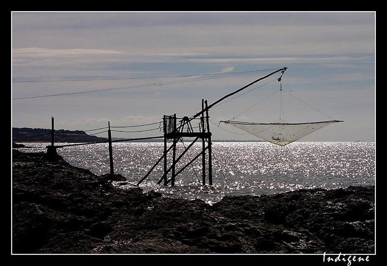 La pêche au carrelet