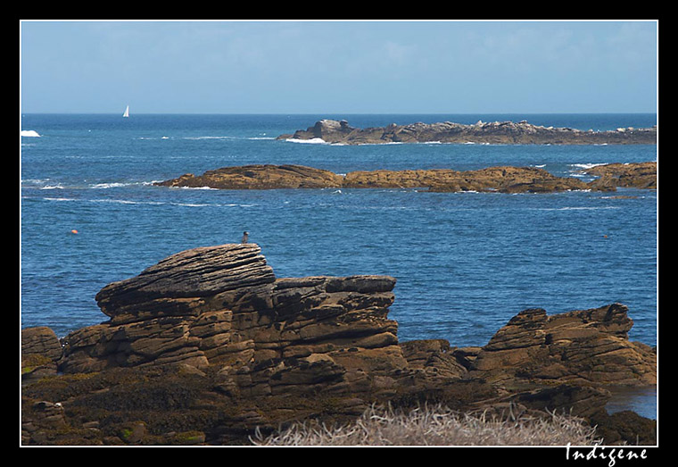 La Côte Sauvage et ses barrières rocheuses