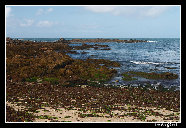 Le littoral de l'île d'Yeu 