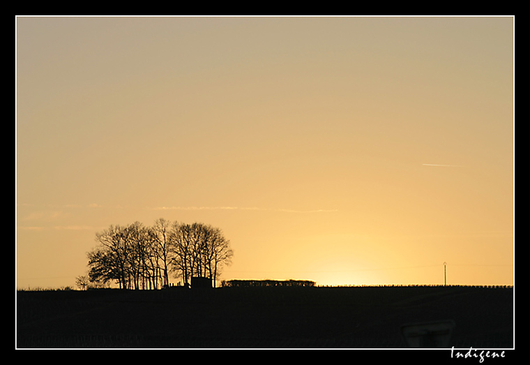 Coucher de soleil sur la colline