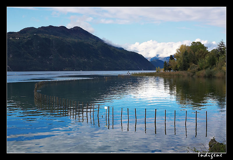 Lac du Bourget en Savoie