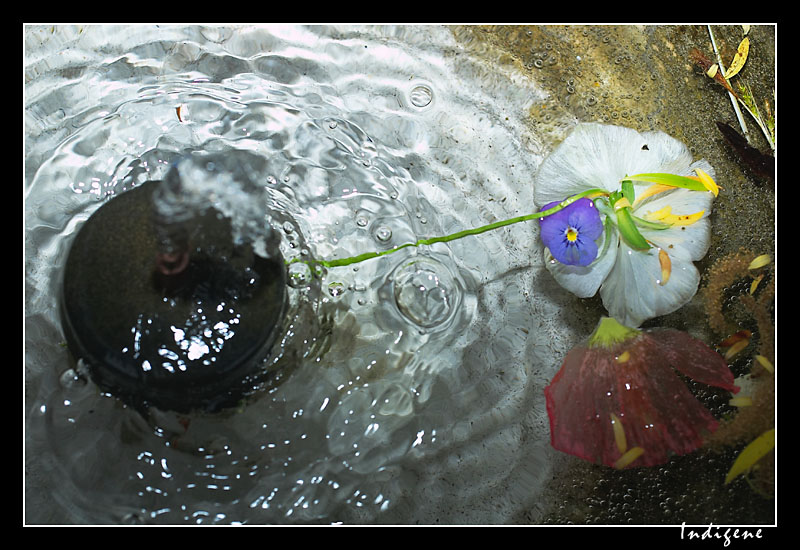 La fontaine et la pensée