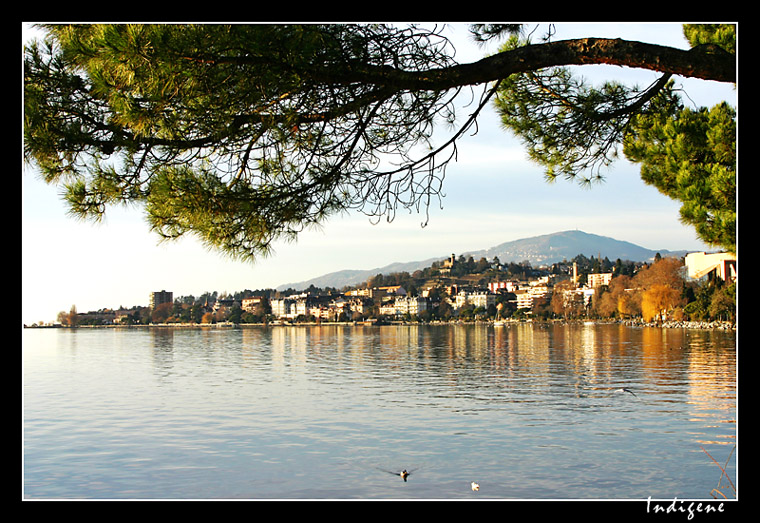 L'automne à Montreux