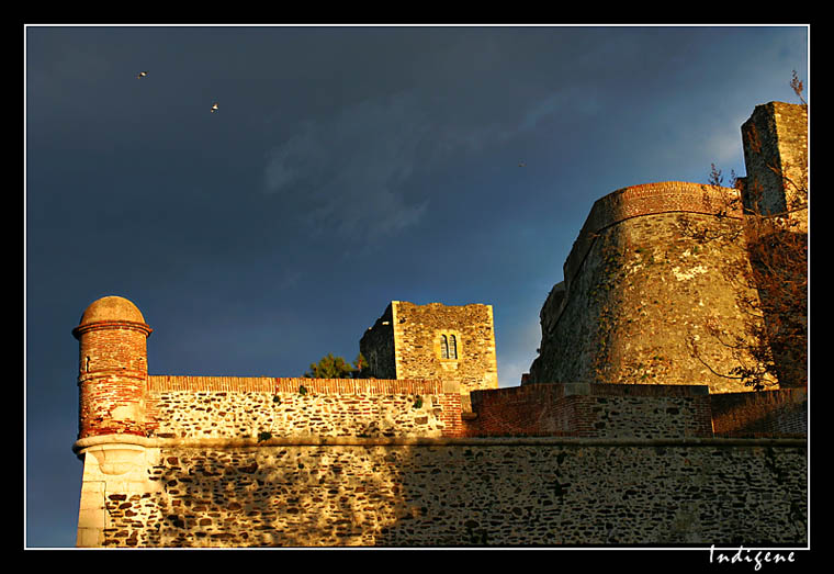 Le Château Royal