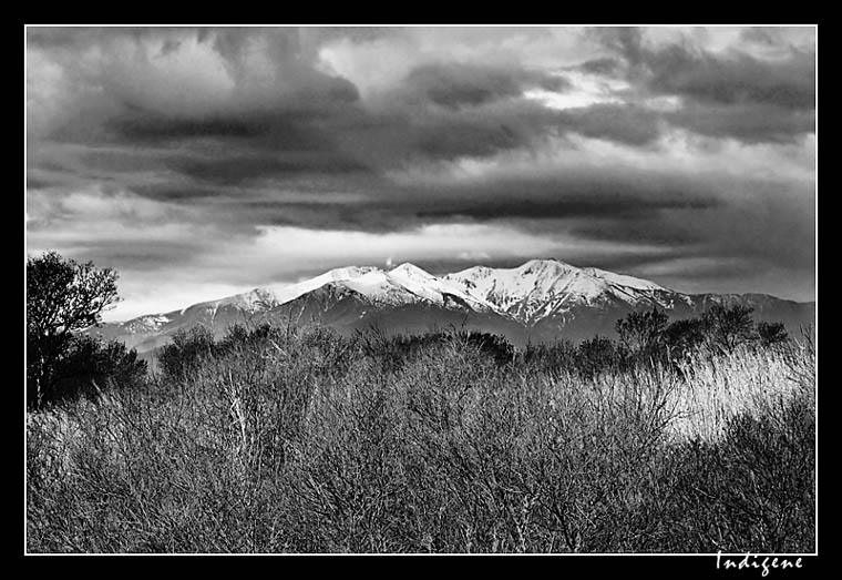 Le Canigou