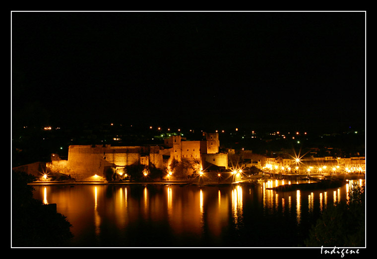 Château de Collioure de nuit