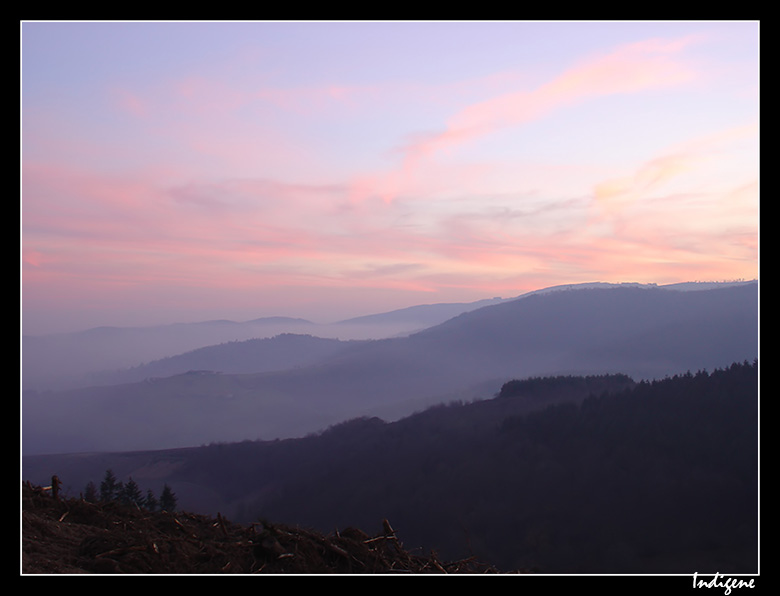 Le Beaujolais