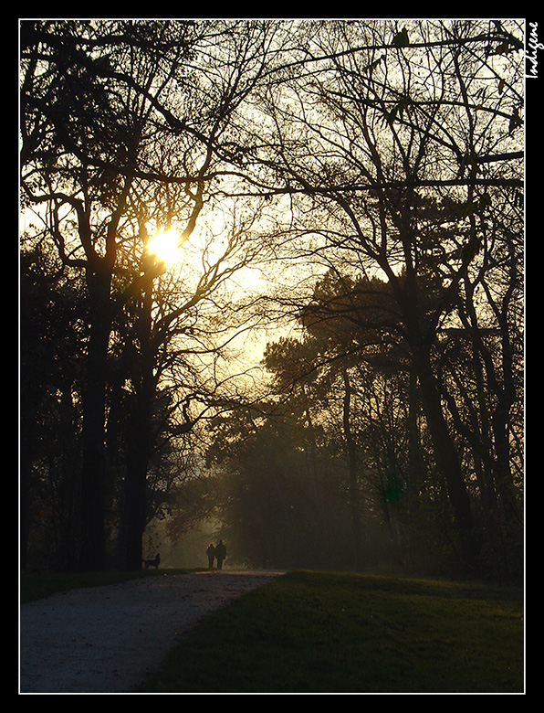 Le bois de Boulogne