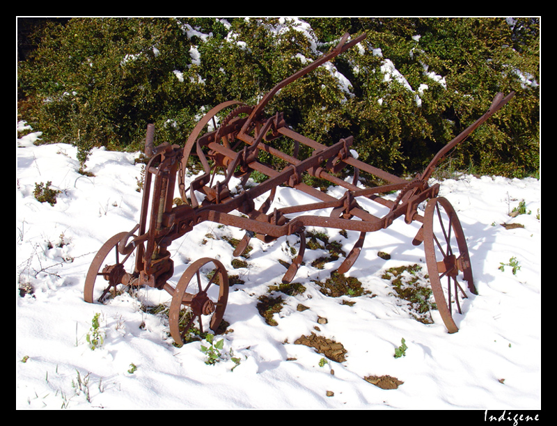 Charue rouillée sous la neige