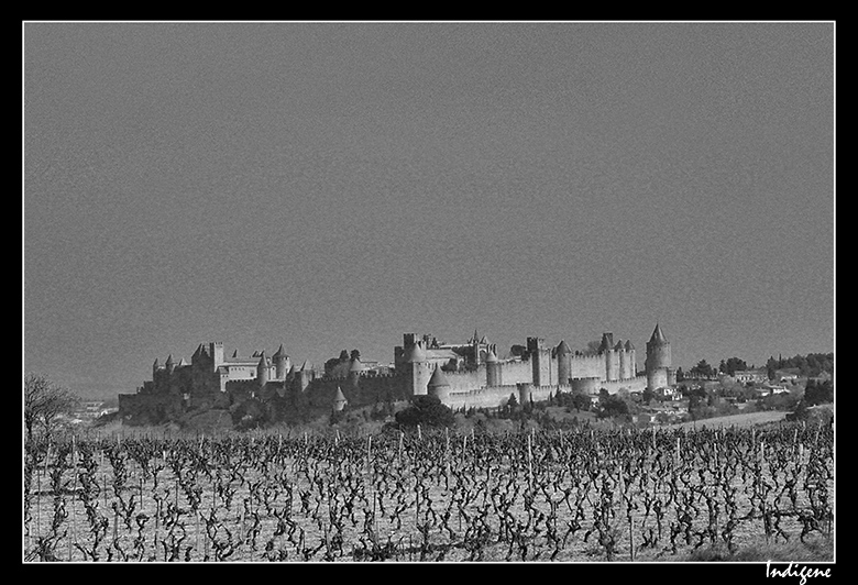 Cité de Carcassonne