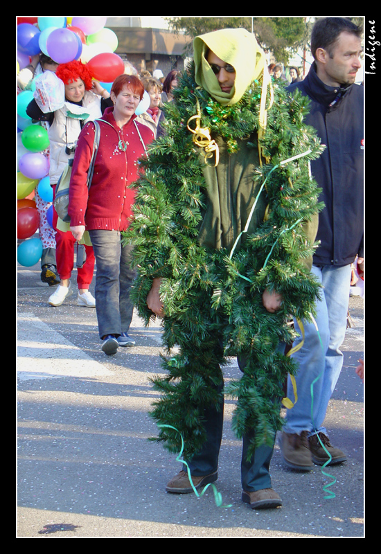 Déguisement en sapin de Noël