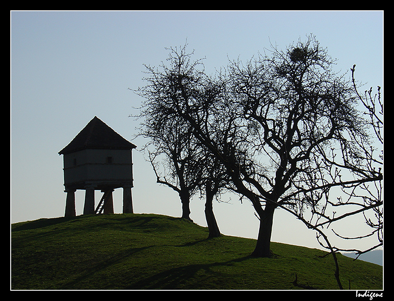 Grenier sur pilotis 