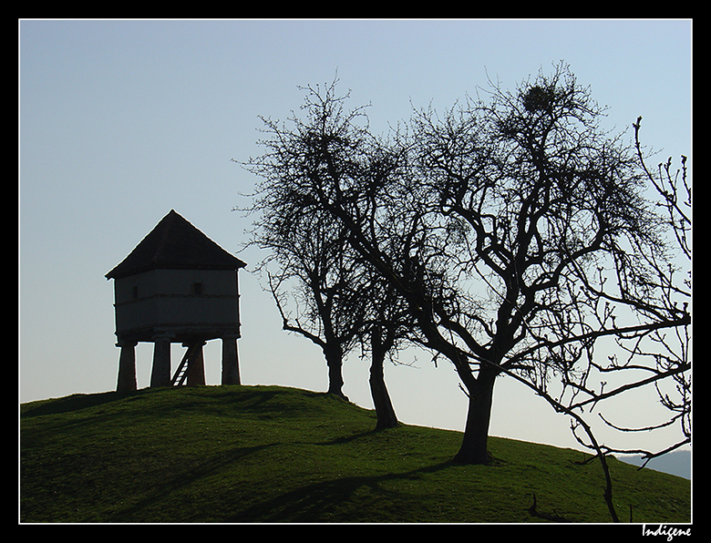 Grenier sur pilotis 