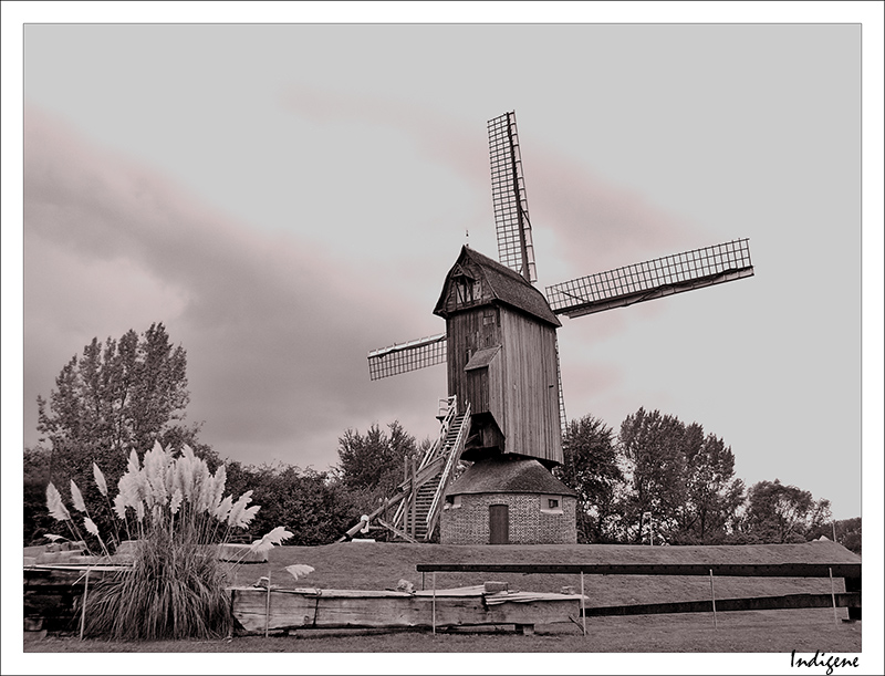 Moulin dans le nord