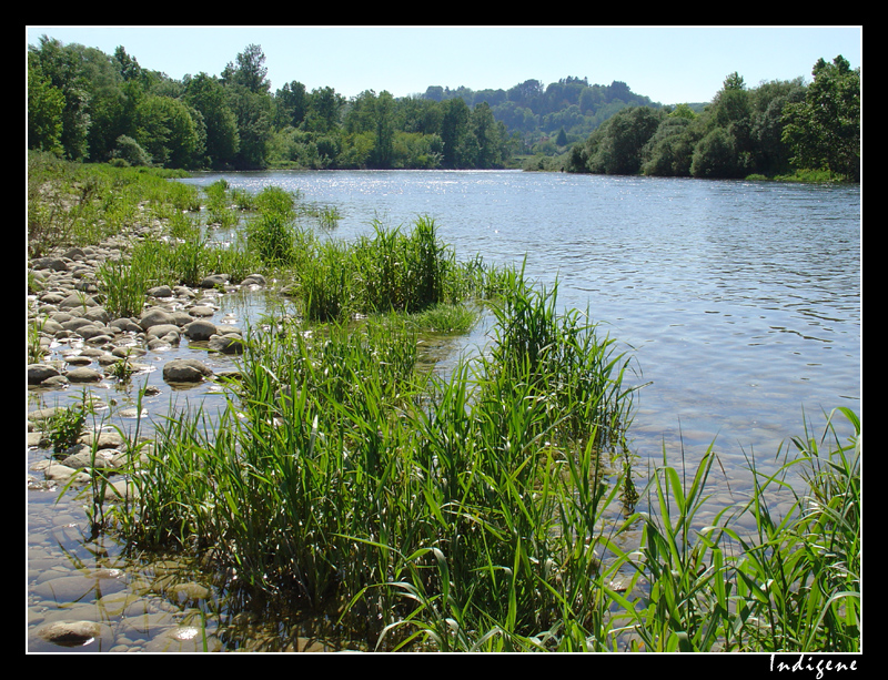 La rivière d'Ain et ses galets