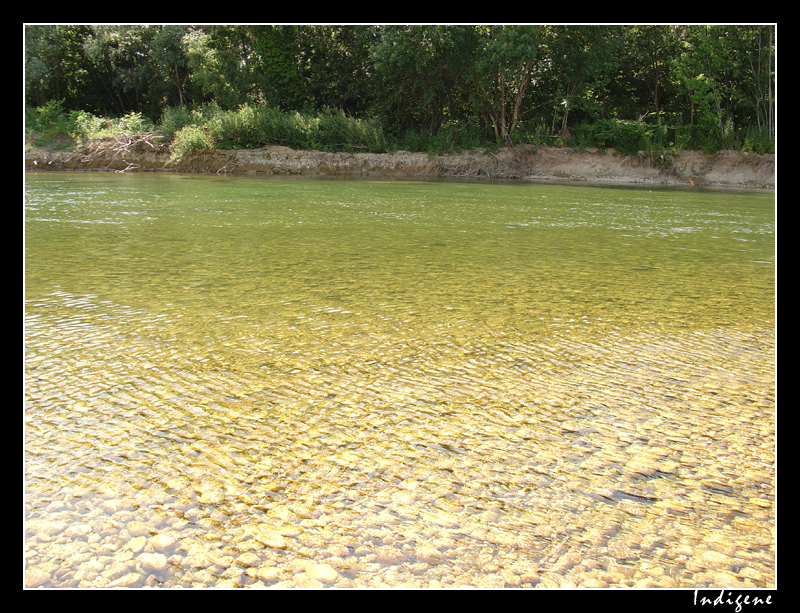 La rivière d'Ain