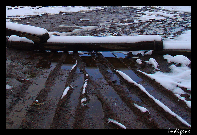 Rondins sous la neige