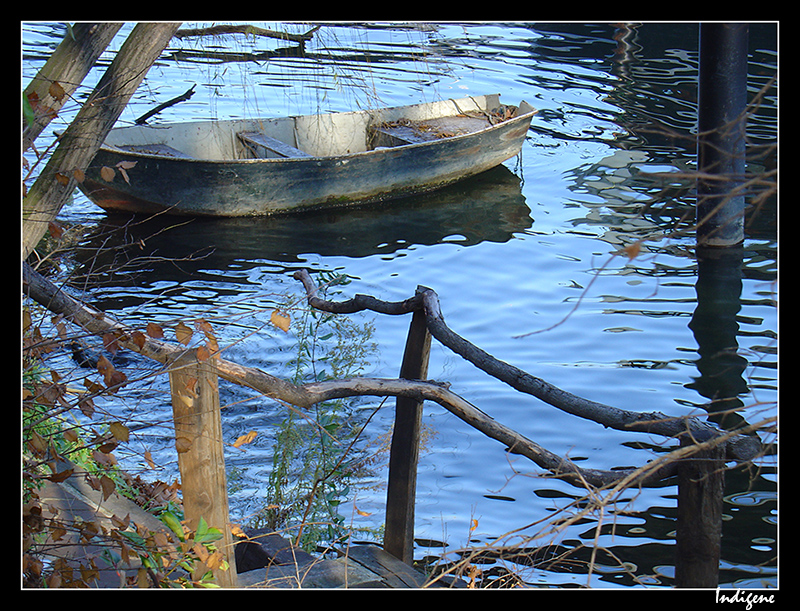 La Seine à Saint-Cloud